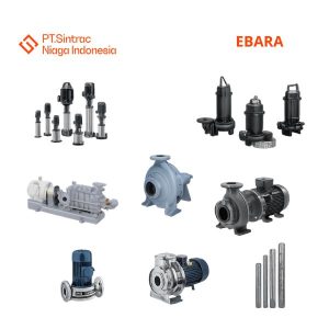 Ebara Pump